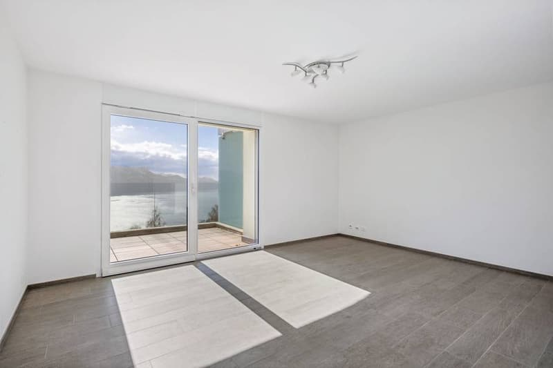 Magnifique vue et calme absolu pour ce 3.5 pièces (10)