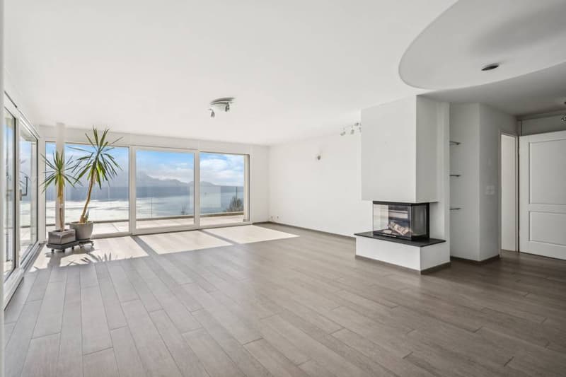 Magnifique vue et calme absolu pour ce 3.5 pièces (1)