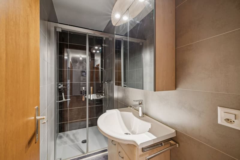 Appartement centre village, très bien entretenu, actuellement loué (11)