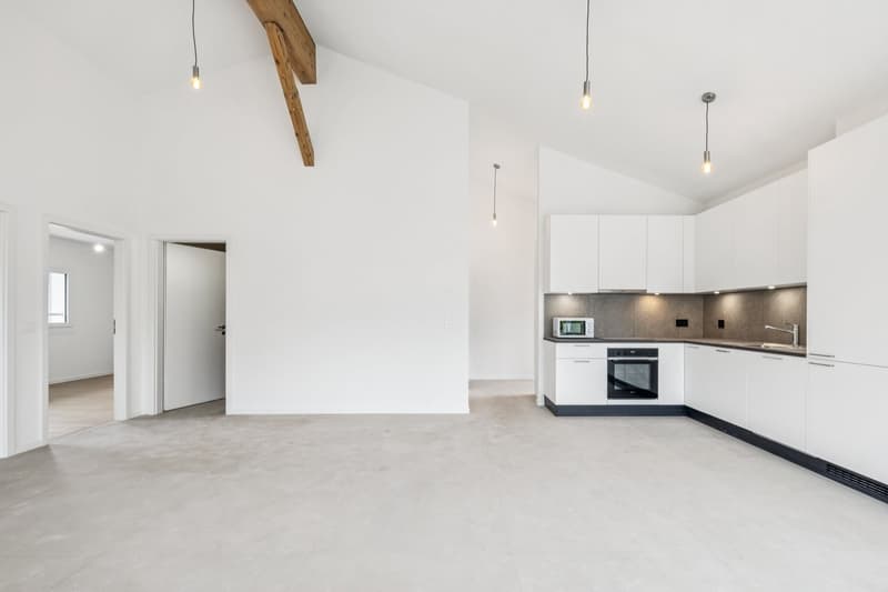House with 2 fully renovated apartments! (4)