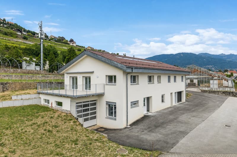 House with 2 fully renovated apartments! (13)