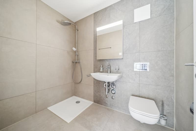 House with 2 fully renovated apartments! (6)