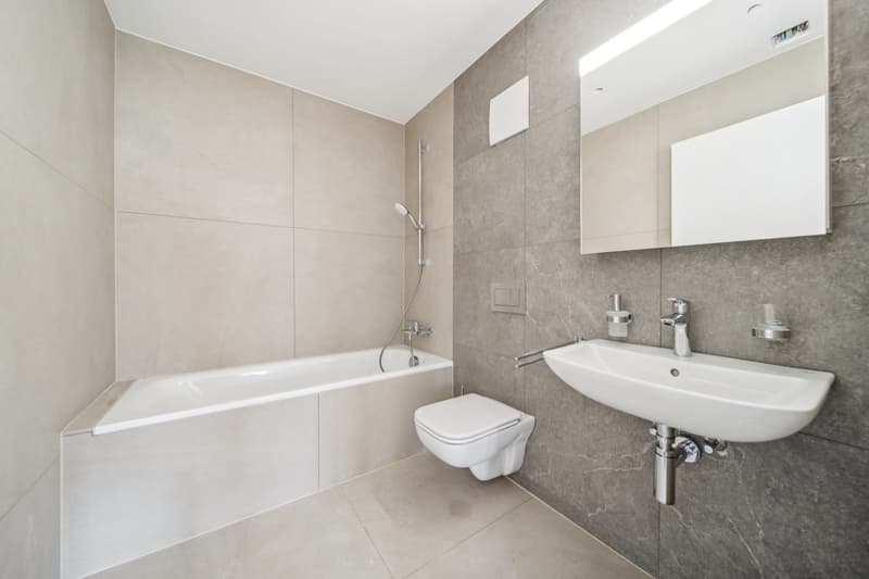 Maison de 2 appartements entièrement rénovés ! (5)