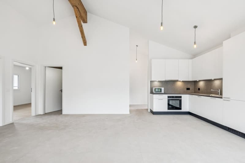 Maison de 2 appartements entièrement rénovés ! (4)