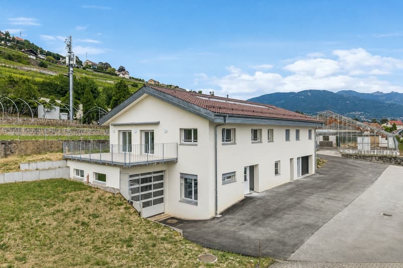 Maison de 2 appartements entièrement rénovés ! (13)