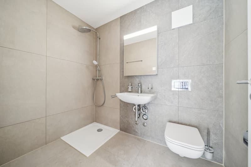 Maison de 2 appartements entièrement rénovés ! (6)