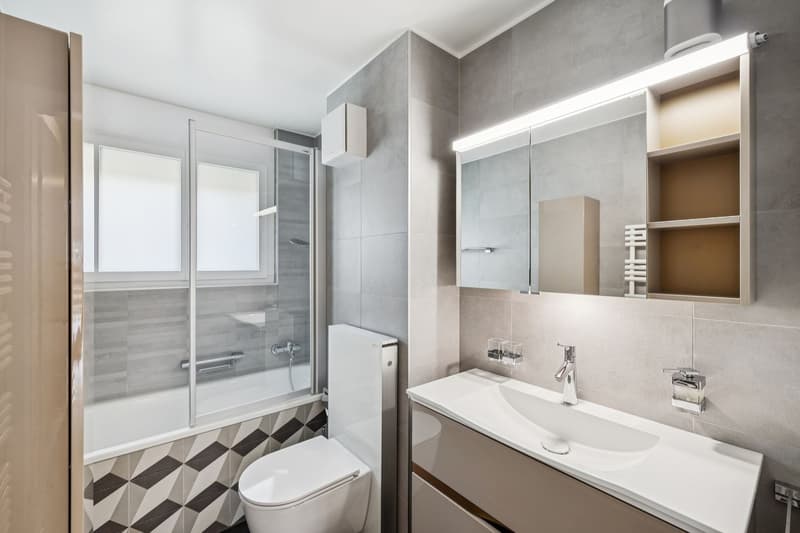 Renovated 5 1/2 room apartment - Ideal for a family! (6)