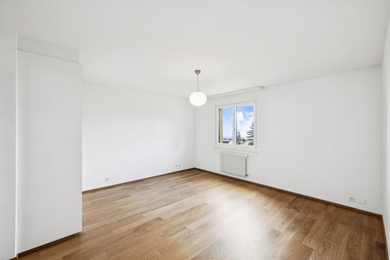 Renovated 5 1/2 room apartment - Ideal for a family! (3)