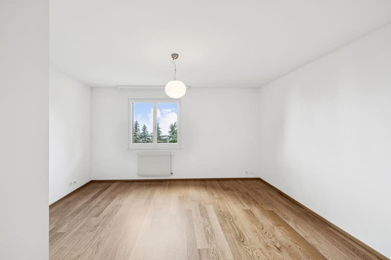 Renovated 5 1/2 room apartment - Ideal for a family! (8)
