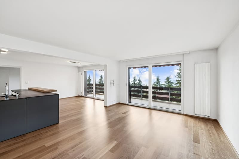 Renovated 5 1/2 room apartment - Ideal for a family! (1)