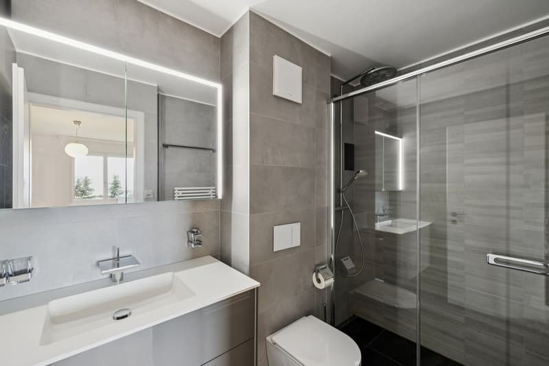 Renovated 5 1/2 room apartment - Ideal for a family! (4)