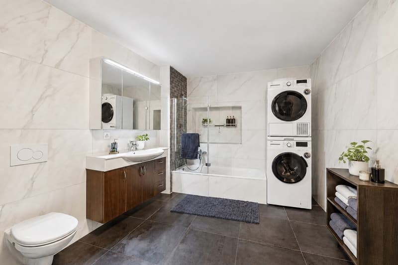Charming 4.5-room apartment (3)
