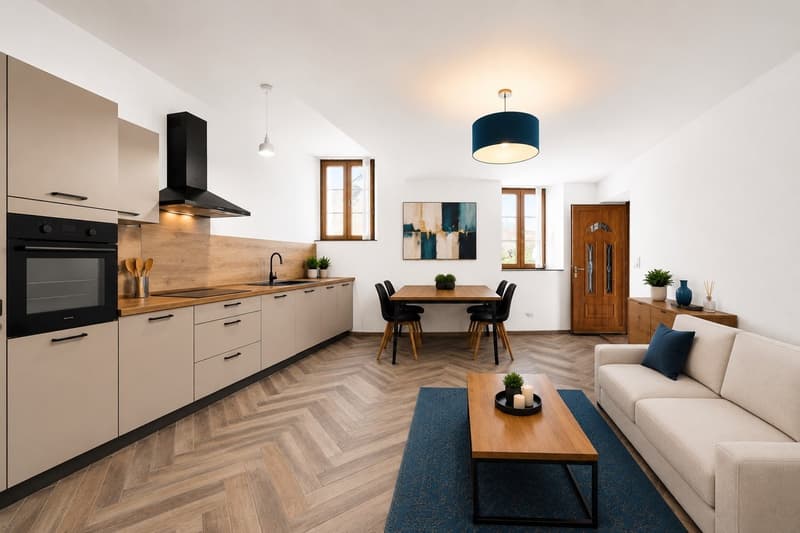 Appartement studio spacieux et rénové (1)