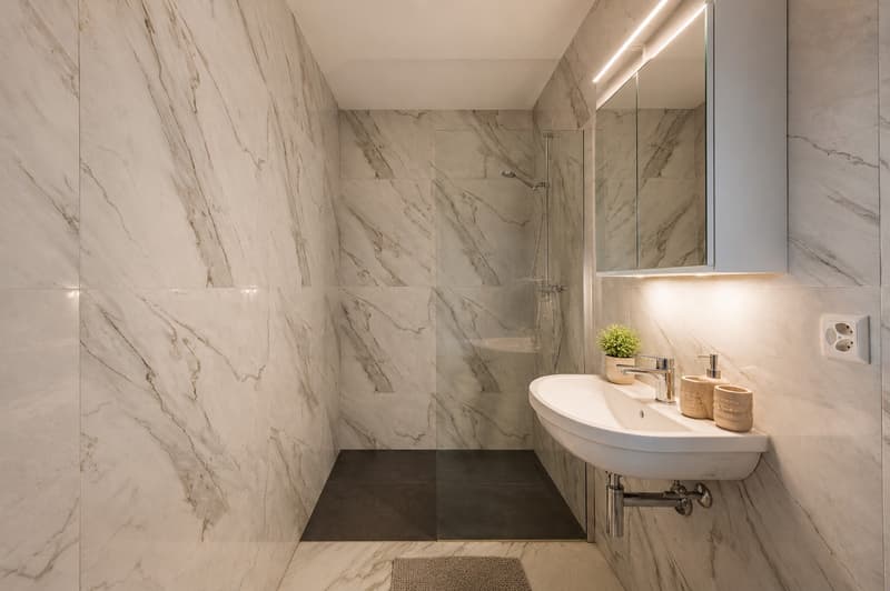 Spacious and renovated studio apartment (2)