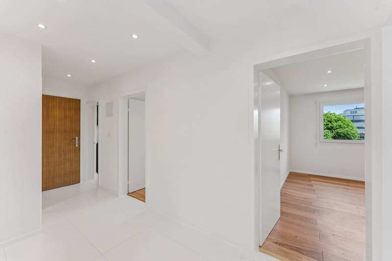 Bel appartement de 3 1/2 pièces rénové ! (11)