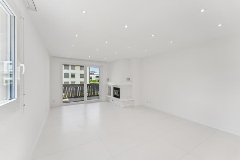 Bel appartement de 3 1/2 pièces rénové ! (3)