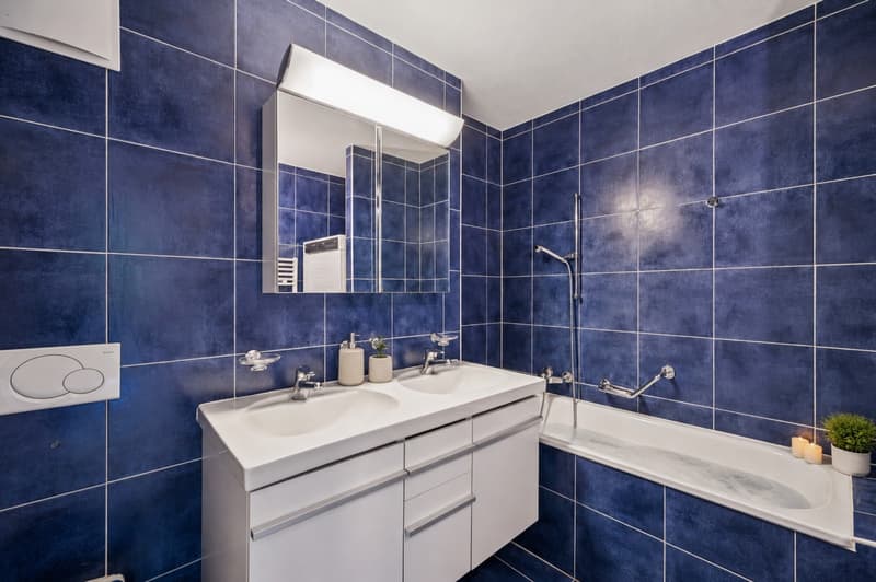 A 4.5-room apartment in a quiet location and facing nature (6)