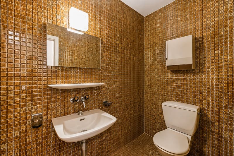 Apartment with 3.5 rooms "two steps" from the lake (9)