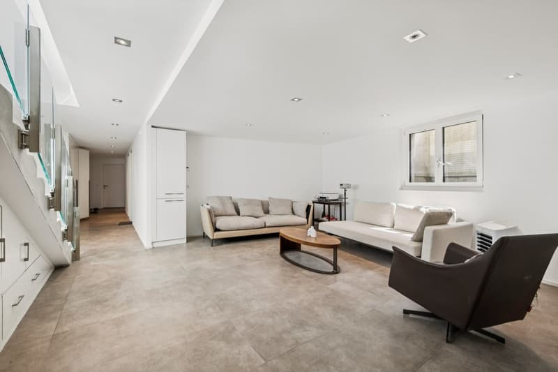 Vue panoramique pour cette villa contemporaine (6)