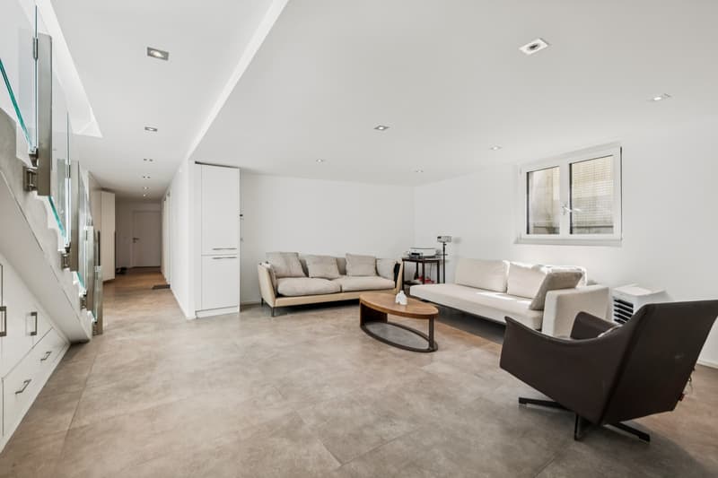 Vue panoramique pour cette villa contemporaine (6)