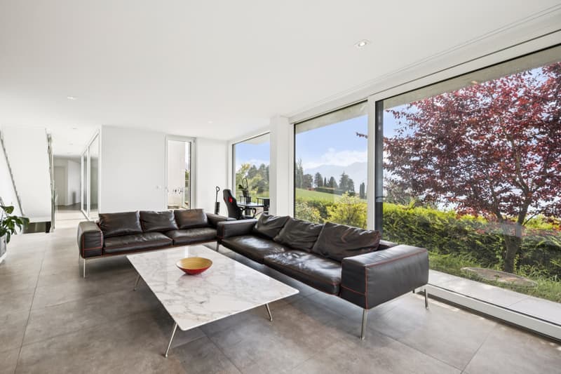Panoramic view for this contemporary villa (5)