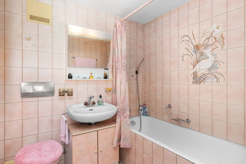 Duplex-Wohnung zur Renovierung in einem gesuchten Wohnviertel (12)