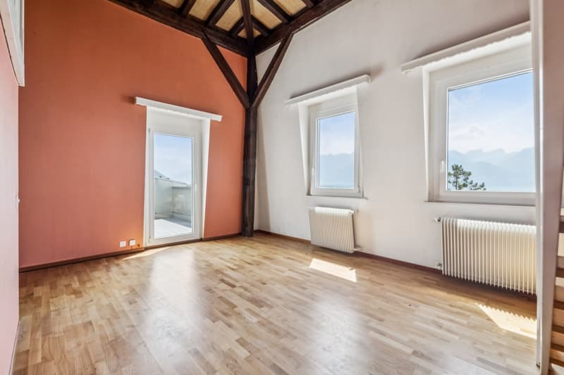 Attic with exceptional panorama (4)