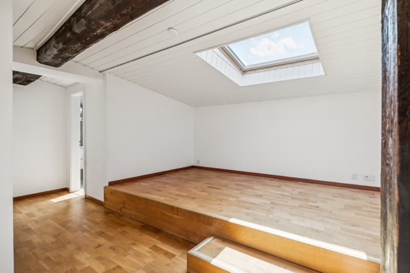 Attic with exceptional panorama (7)