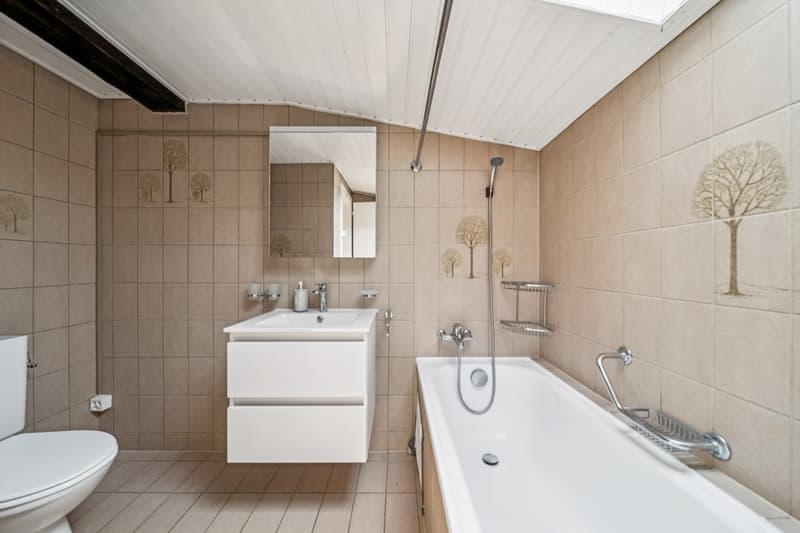 Attic with exceptional panorama (8)