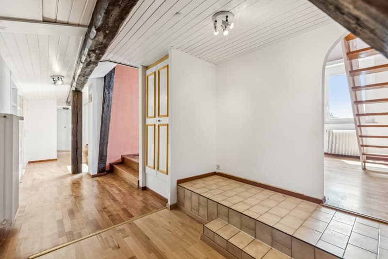 Attic with exceptional panorama (6)