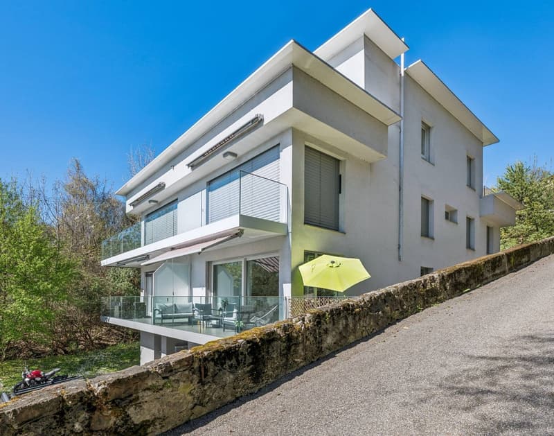 Duplex en attique contemporain avec vue sur le lac (13)
