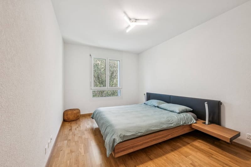 Duplex en attique contemporain avec vue sur le lac (7)
