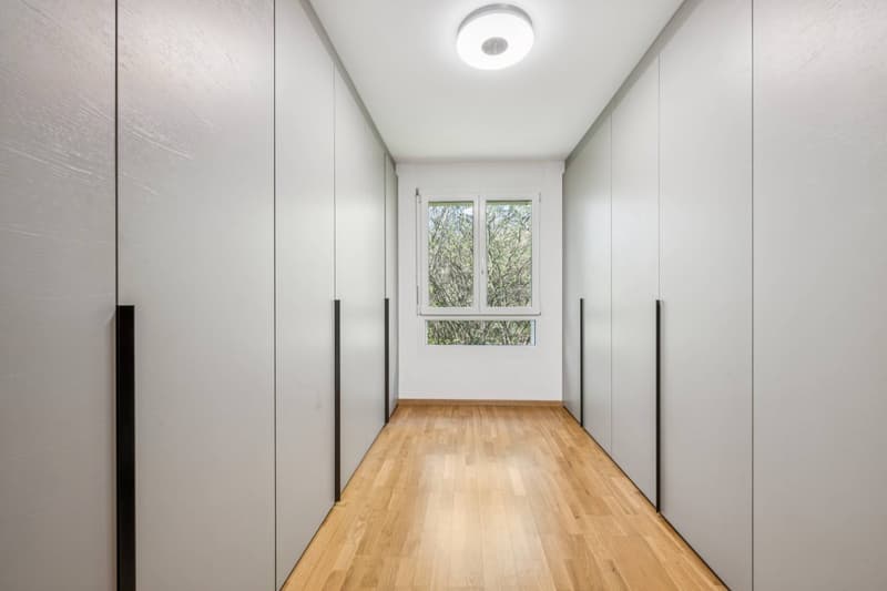 Contemporary attic duplex with lake view (9)
