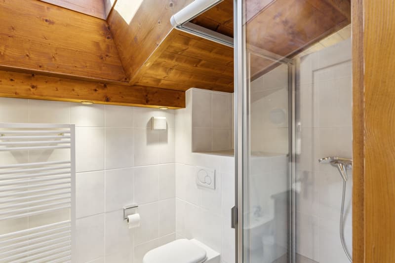 EXKLUSIVITÄT - UNTYPISCHES CHALET - ZENTRUM DES DORFES auf 2000 m2 Grundstück (5)
