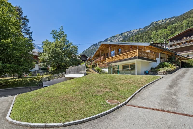 EXCLUSIVITE - CHALET ATYPIQUE - CENTRE VILLAGE sur 2000 m2 de terrain (1)