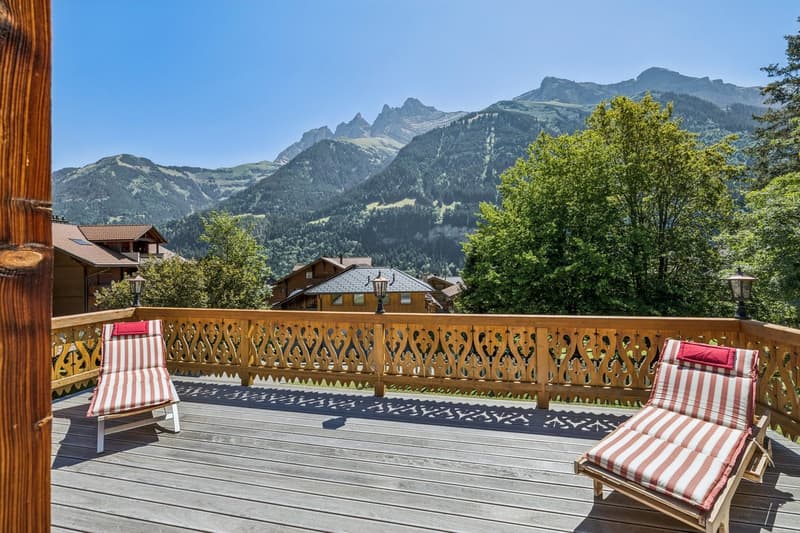 EXCLUSIVITE - CHALET ATYPIQUE - CENTRE VILLAGE sur 2000 m2 de terrain (3)