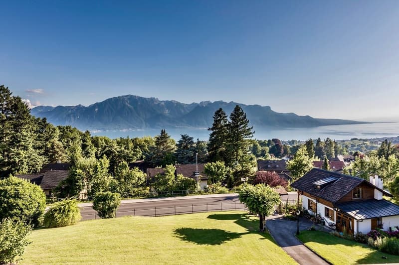2 Propriétés dont un luxueux chalet avec vue panoramique (12)
