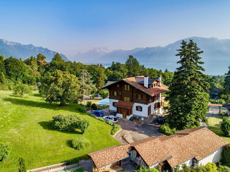 2 Propriétés dont un luxueux chalet avec vue panoramique (10)