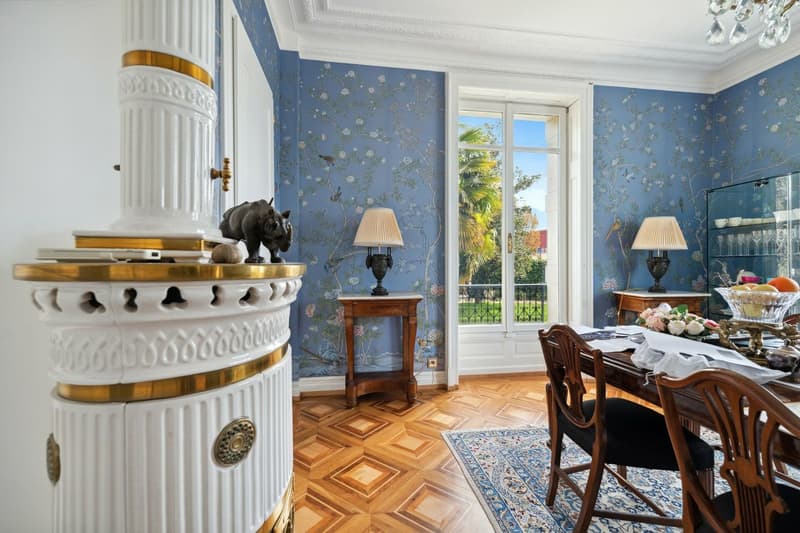 A 2 steps from the lake shore, prized district of Villas Dubochet (7)