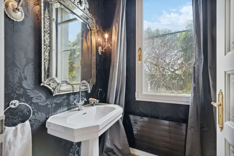 A 2 steps from the lake shore, prized district of Villas Dubochet (6)