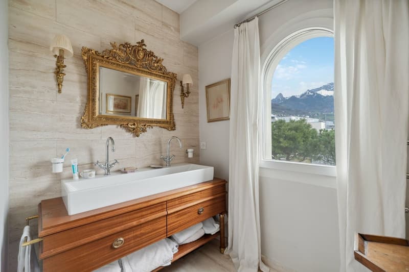 A 2 steps from the lake shore, prized district of Villas Dubochet (12)
