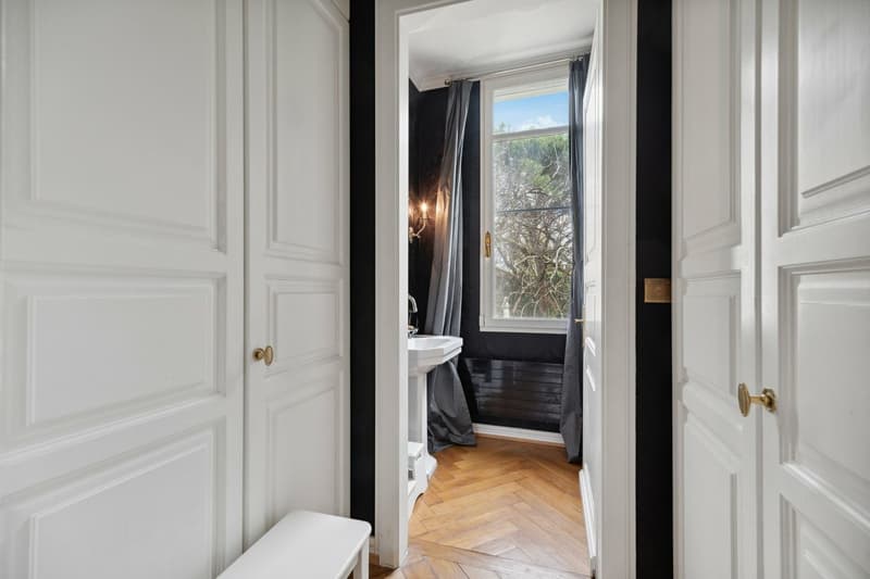 A 2 steps from the lake shore, prized district of Villas Dubochet (8)