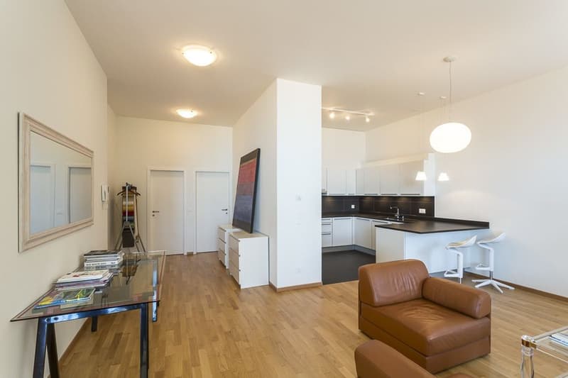 Schönes städtisches Appartement, ideale Lage direkt am See (1)