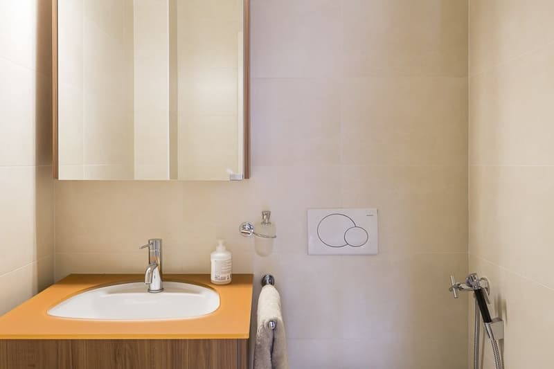 Schönes städtisches Appartement, ideale Lage direkt am See (8)