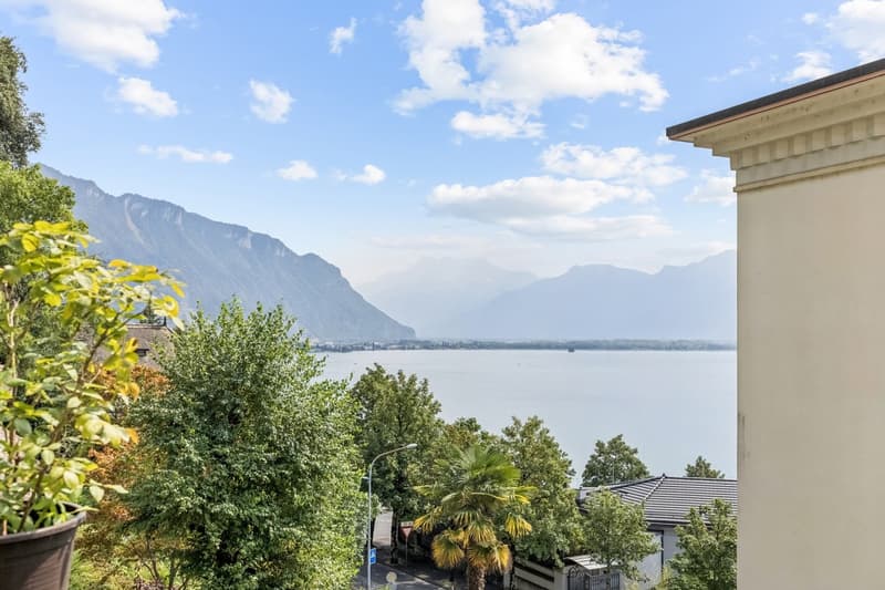 4.5 pièces de caractère avec terrasse et vue lac (13)