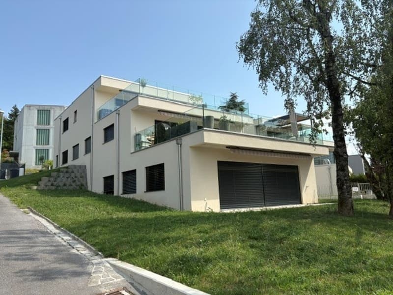 Bel emplacement Magnifique 3 1/2 pièces avec terrasse et jardin. (9)