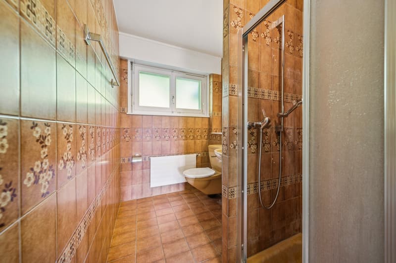 Spacieux appartement avec vue lac (11)