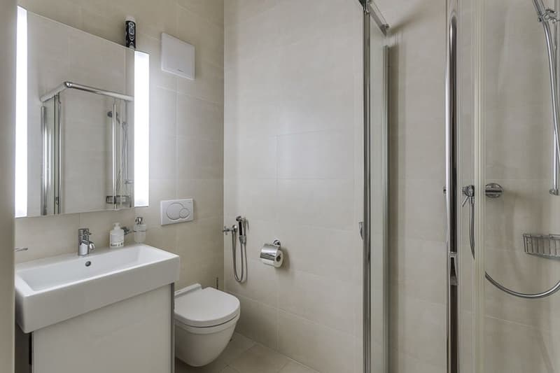 Bel appartement urbain, situation idéale face au lac (7)