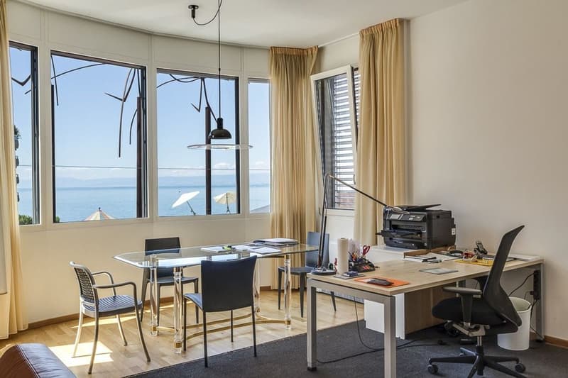 Bel appartement urbain, situation idéale face au lac (4)