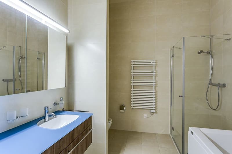 Bel appartement urbain, situation idéale face au lac (6)
